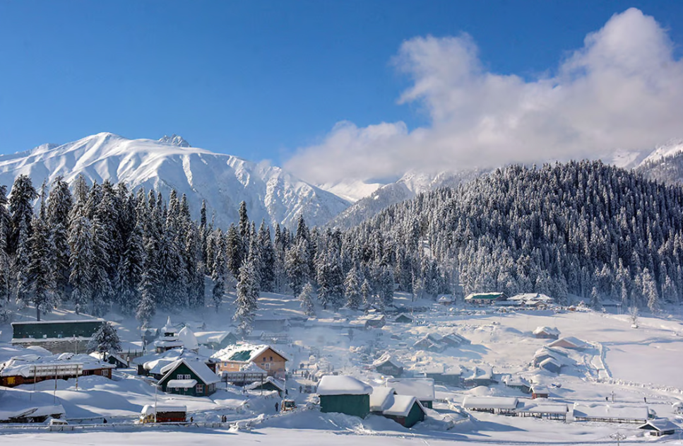 Gulmarg Meadow