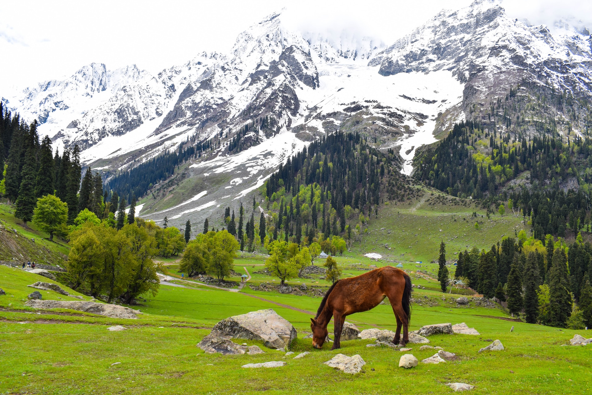 Kashmir Group Trip